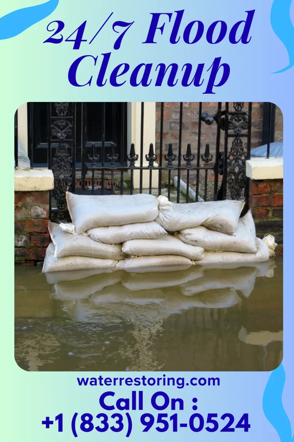 24/7 Flood Cleanup in Sylvarena, MS
