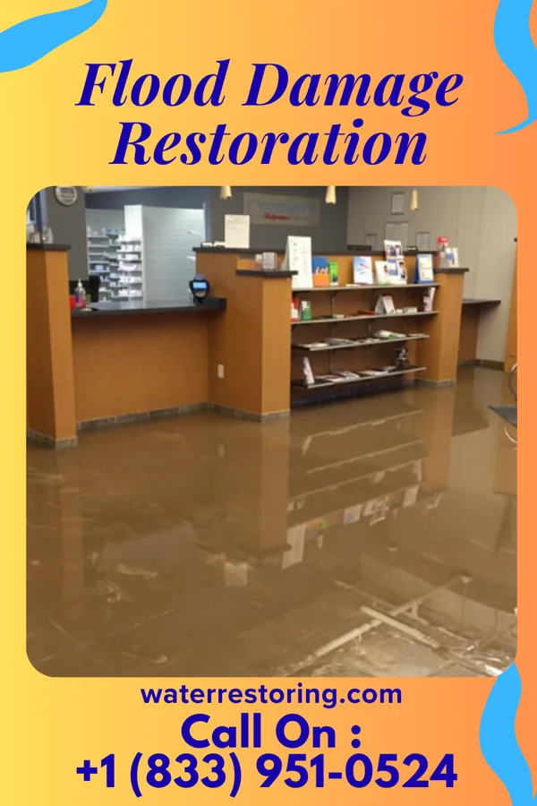 Flood Damage Restoration in Sylvarena, MS