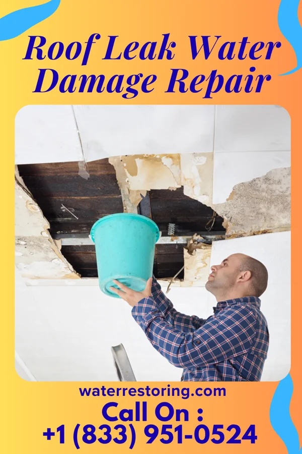 Roof Leak Water Damage Repair in Sylvarena, MS