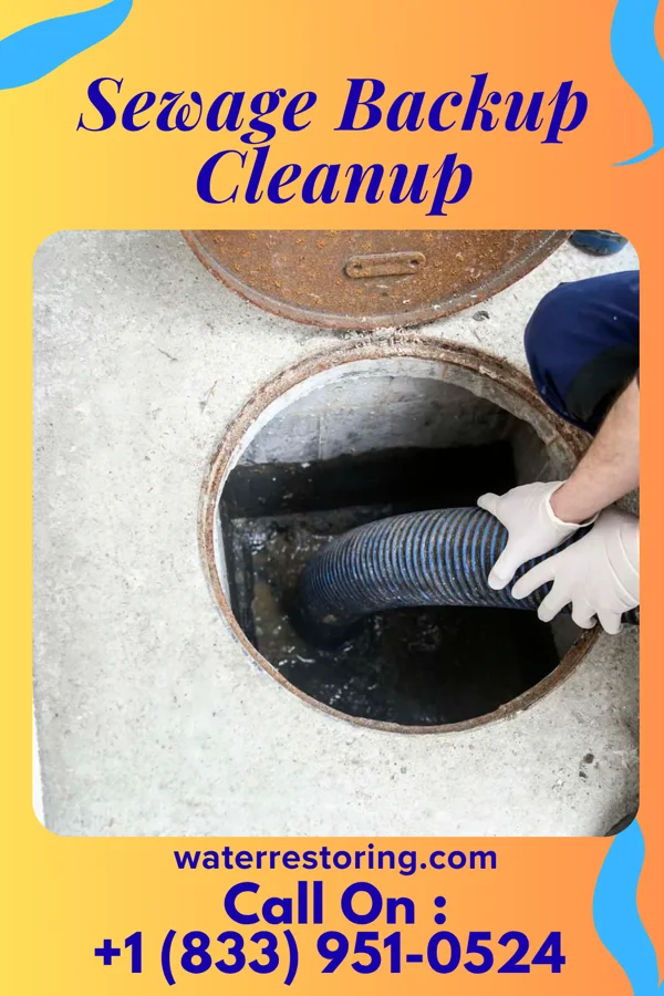 Sewage Backup Cleanup in Sylvarena, MS