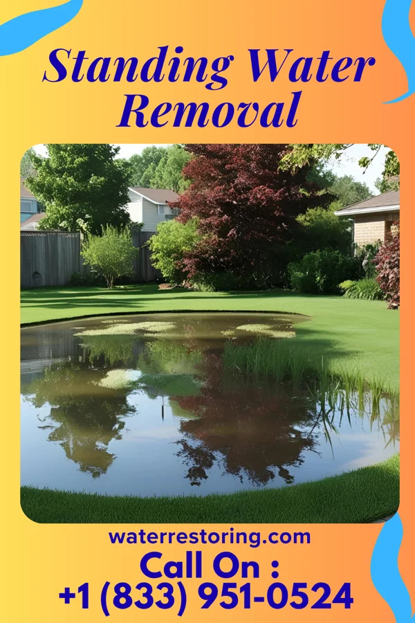 Standing Water Removal in Sylvarena, MS